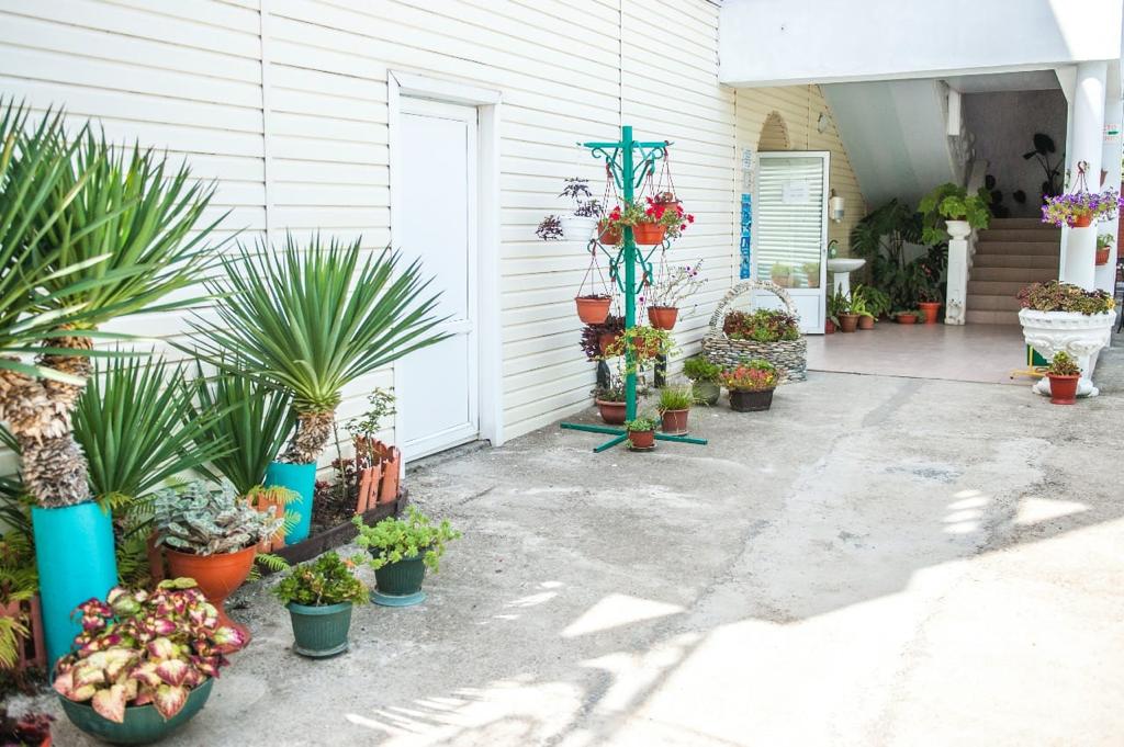 . Гостевой дом «Каравелла». Лермонтово