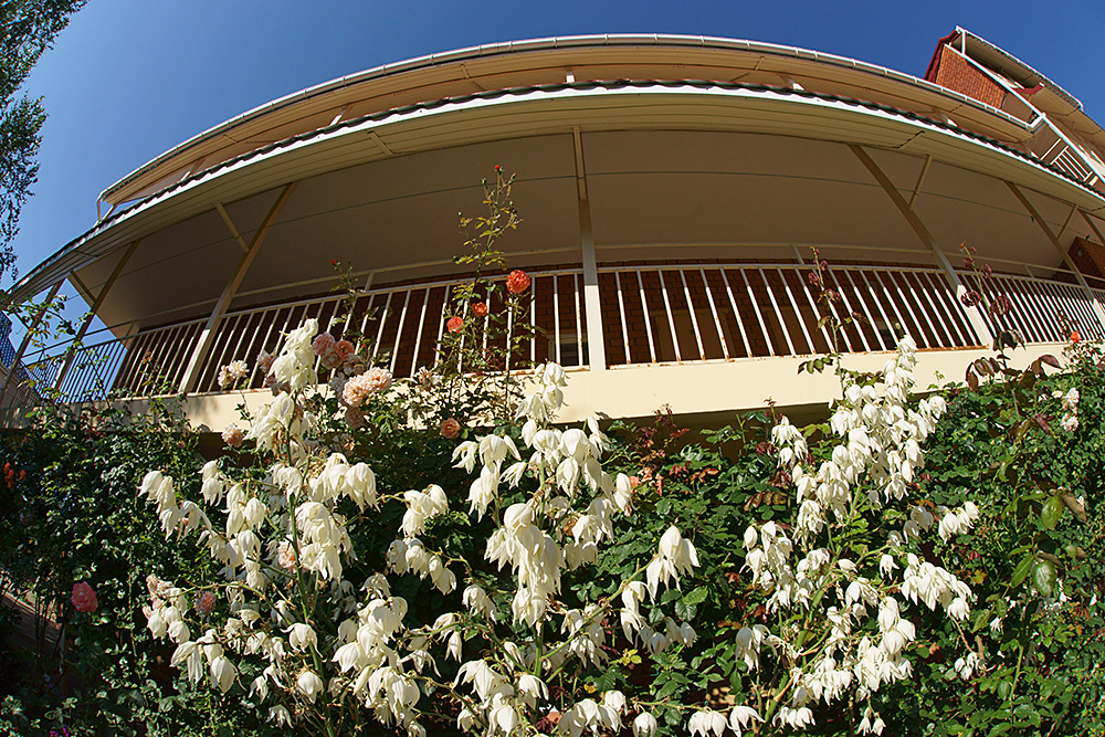 . Гостевой дом Аист. Саки