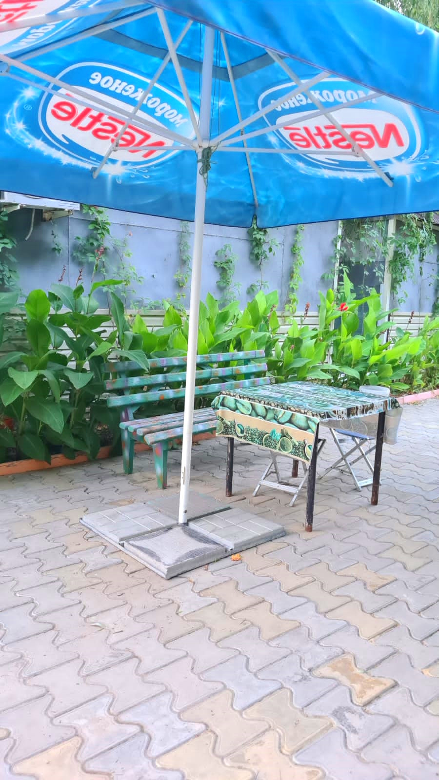 . База отдыха "ГОРИЗОНТ". Анапа