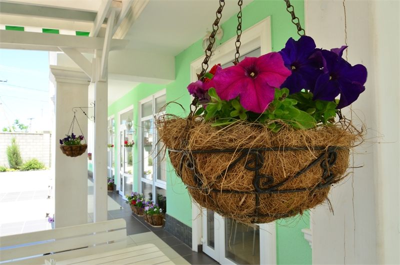 . Horizont Hotel. Береговое