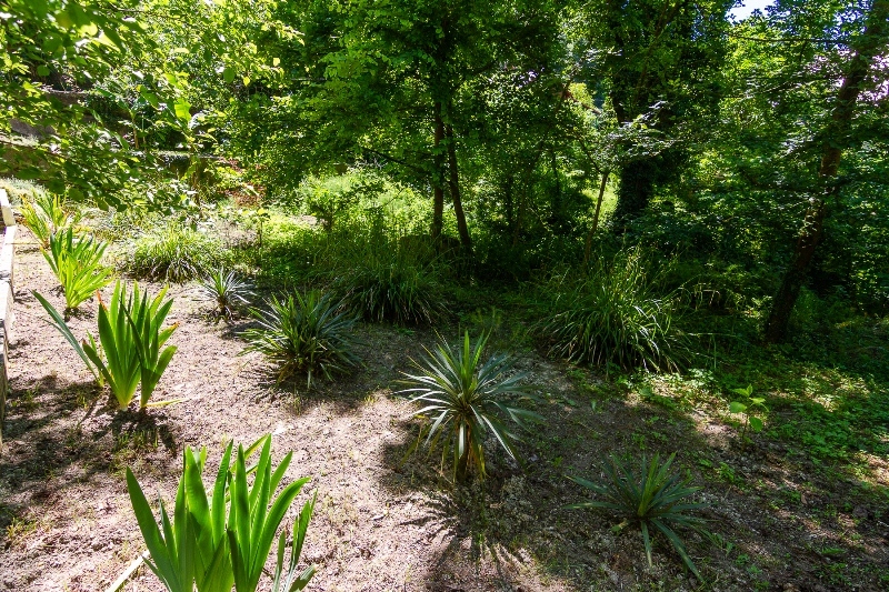 . Гостевой дом "Лесная прохлада". Туапсе