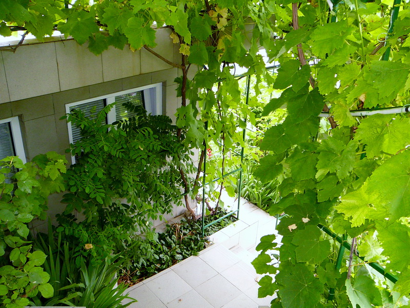 . Эллинг «Юрий». Алупка . Эллинг «Юрий». Алупка