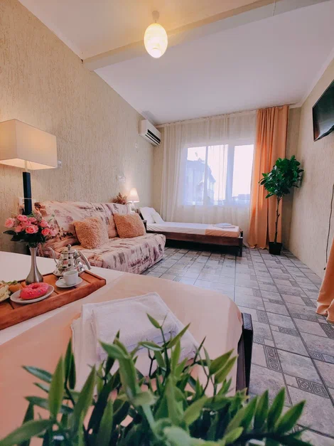 4-х местный номер-студия с мини-кухней. Парк-отель Благовещенка. Благовещенская