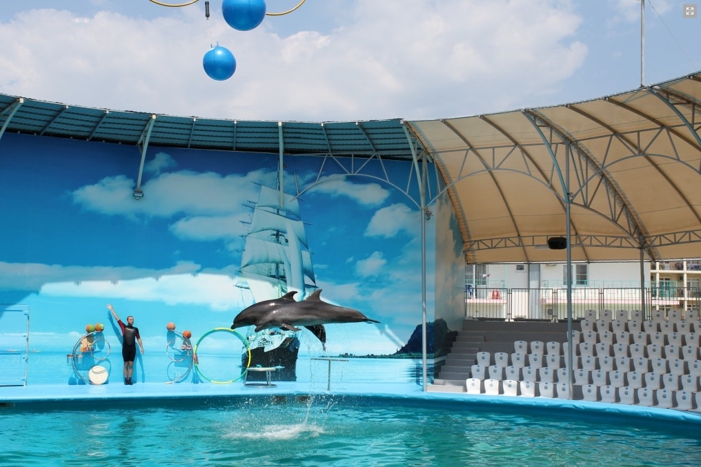 Фото дельфинария-океанариума «Немо» взято с сайта: http://nemovit.ru/