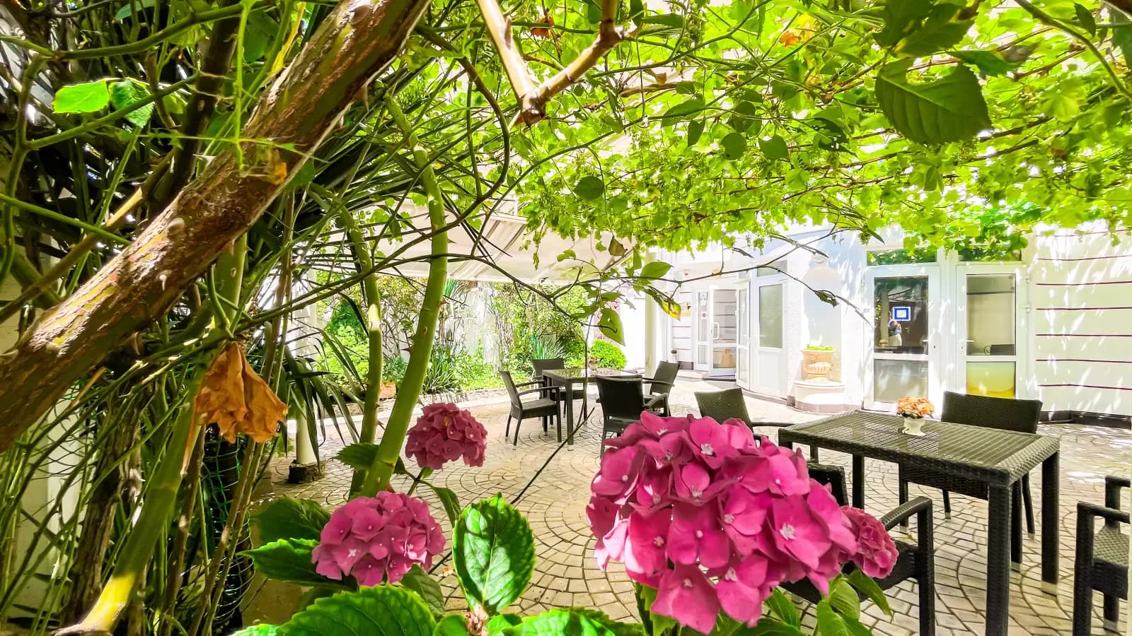 . Мини-отель "Ардо". Анапа