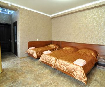 Люкс 3-х местный с большим балконом. Гостевой дом «Елиза». Витязево