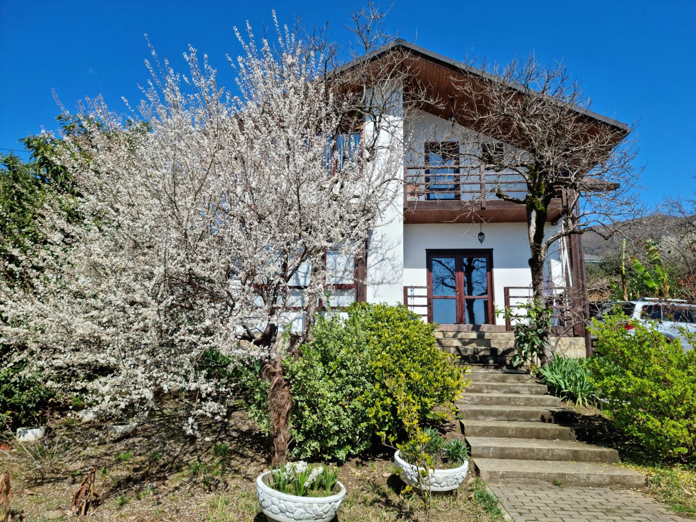 . Гостевой дом "Цитрус". Цандрипш