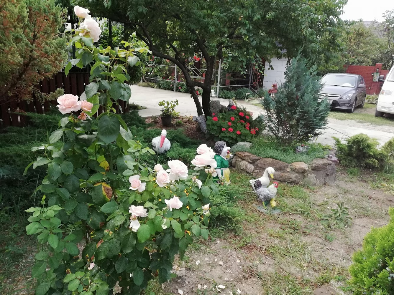 . Гостевой дом "Сибирячка". Ольгинка