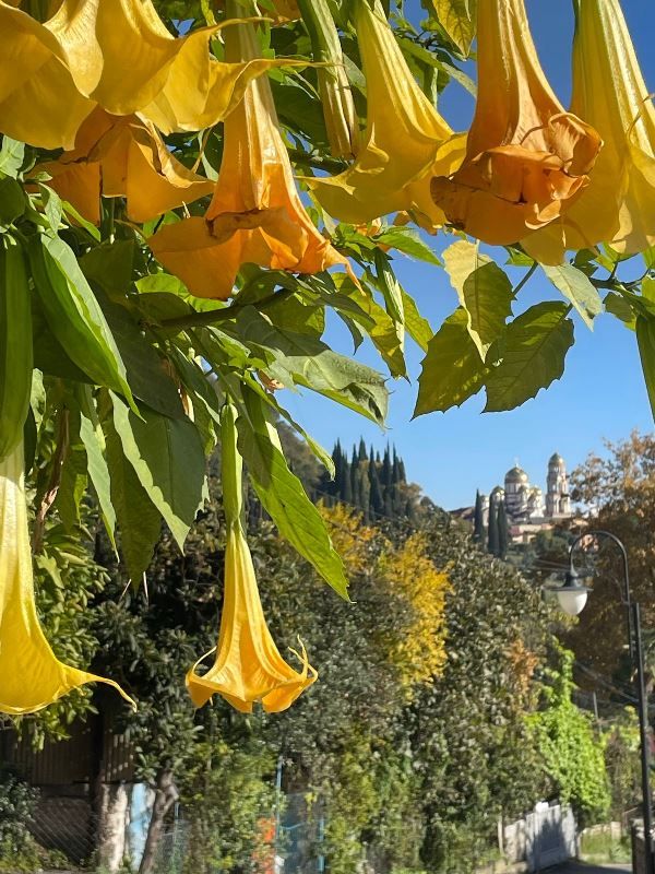 . Гостевой дом "У подножья пещеры". Новый Афон