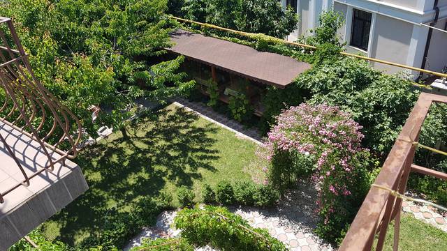 . Гостевой дом «Пчелка Майя». Севастополь