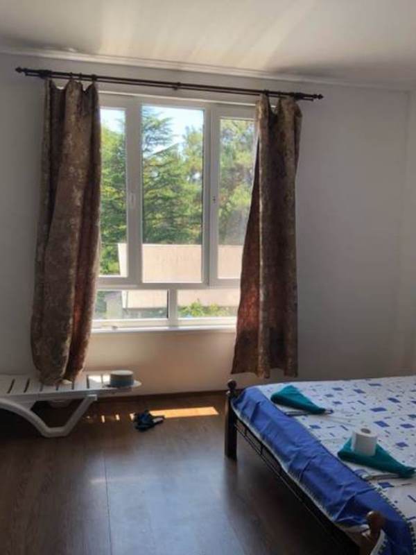 . Гостевой дом "Пицунда". Пицунда