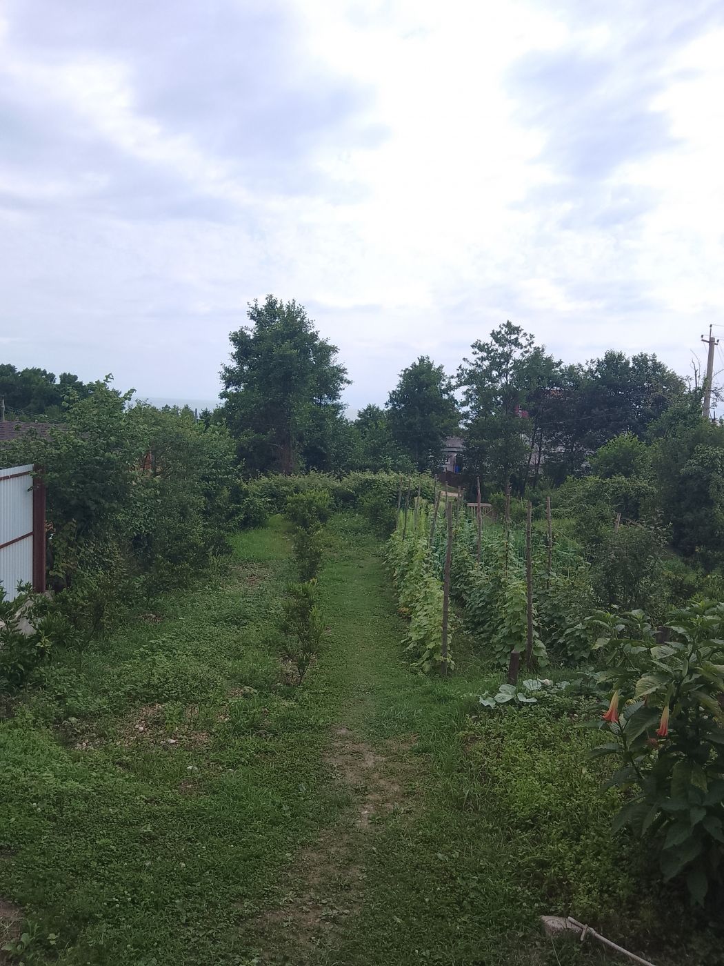 . Частный сектор Серине. Новый Афон