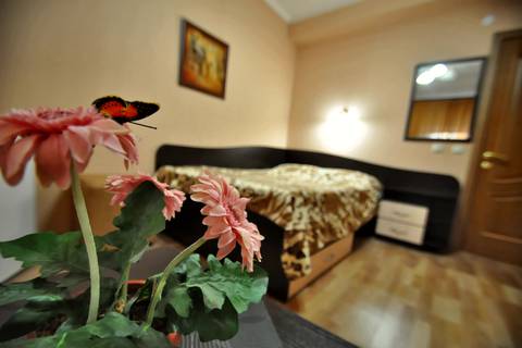 Двухместный номер (без балкона). Гостевой дом "Вояж" - Лазаревское. Лазаревское Двухместный номер (без балкона). Гостевой дом "Вояж" - Лазаревское. Лазаревское