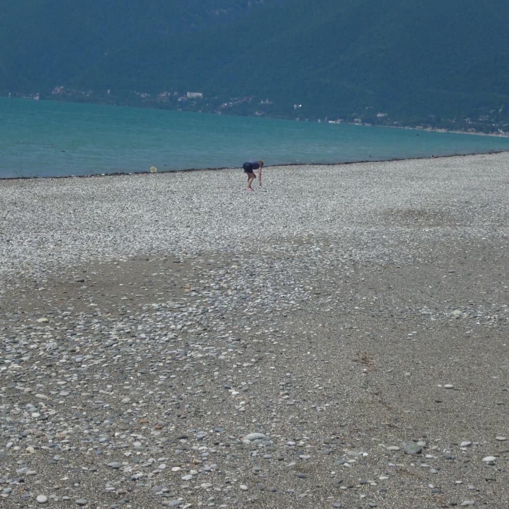 . Гостевой дом "Анита". Пицунда . Гостевой дом "Анита". Пицунда