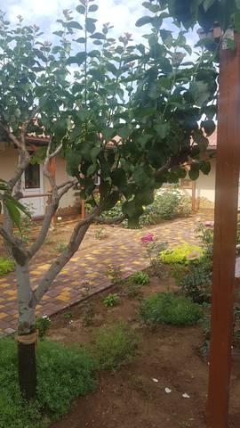 . Гостевой дом Есения. Заозерное