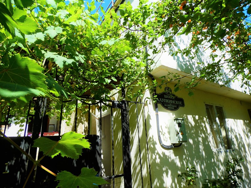 . Частный сектор Алупкинское шоссе 64 в Гаспре. Гаспра