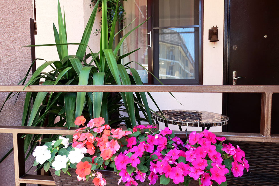 . Гостевой дом «Шоколад»    . Ольгинка