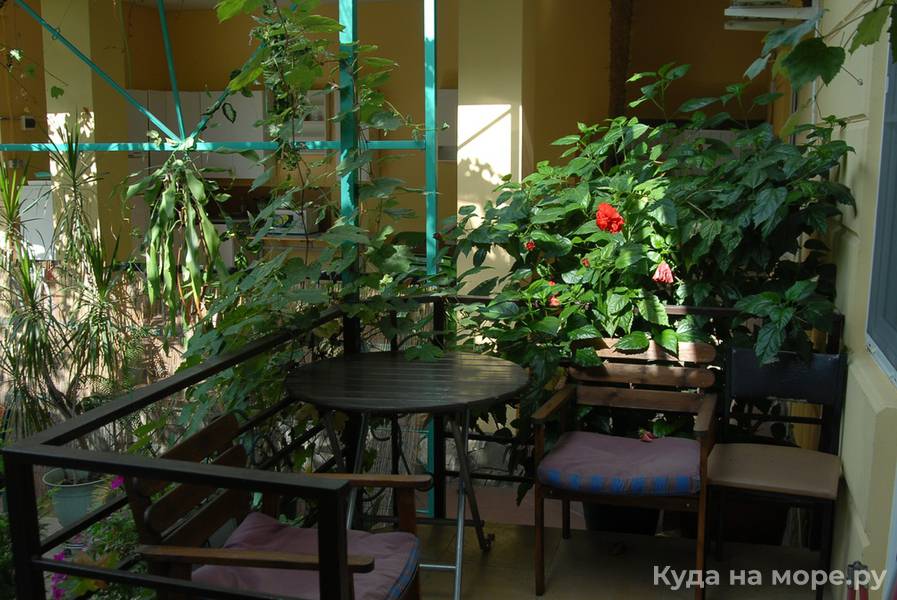 № 13 Классик 3-х местный «Монро». Гостевой дом «Фламинго». Архипо-Осиповка № 13 Классик 3-х местный «Монро». Гостевой дом «Фламинго». Архипо-Осиповка