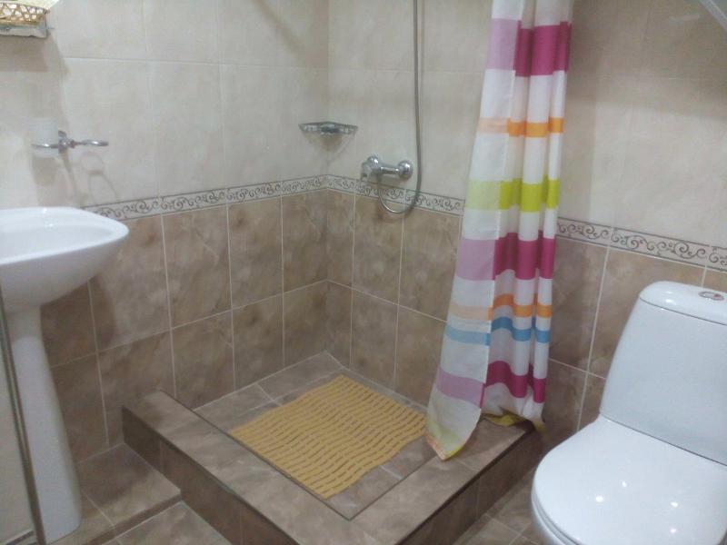 2-х местный номер Стандарт. Гостевой дом "Дом с дельфинами" (корпус 2). Адлер