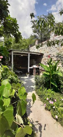 . Гостевой дом на Ореховой. Гурзуф . Гостевой дом на Ореховой. Гурзуф