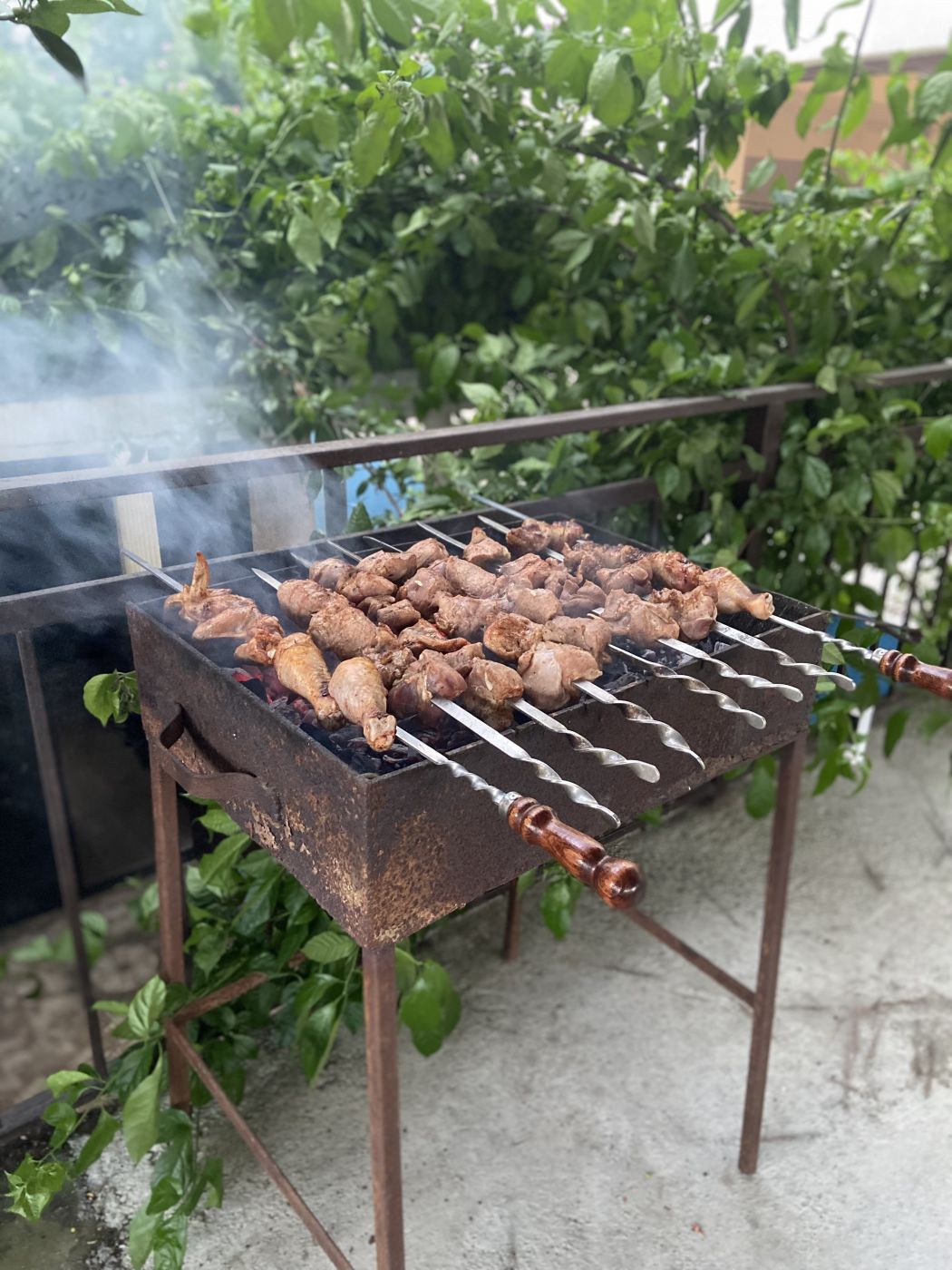 . Гостевой дом Надежда в Гаграх. Гагра