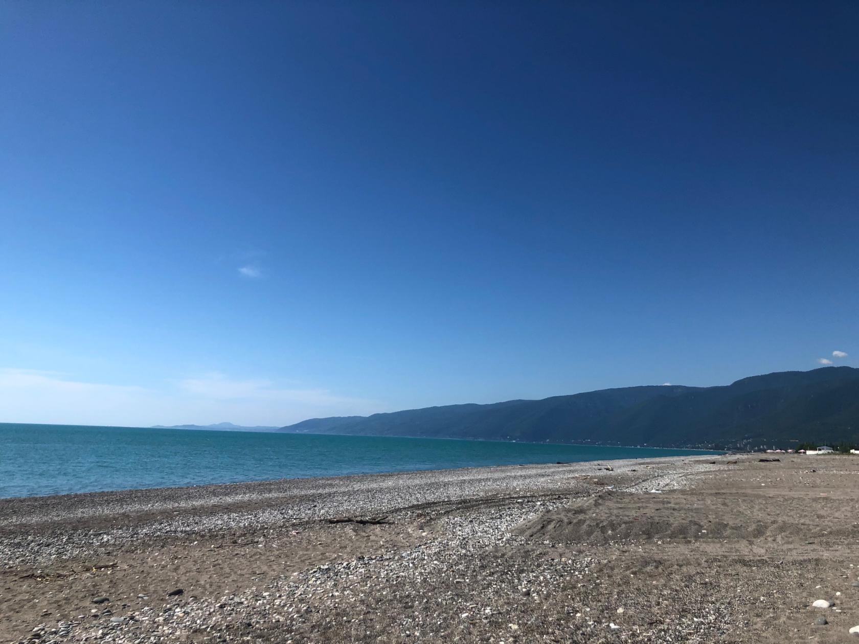 . Гостевой дом Золотая Рыбка - Гагра. Гагра