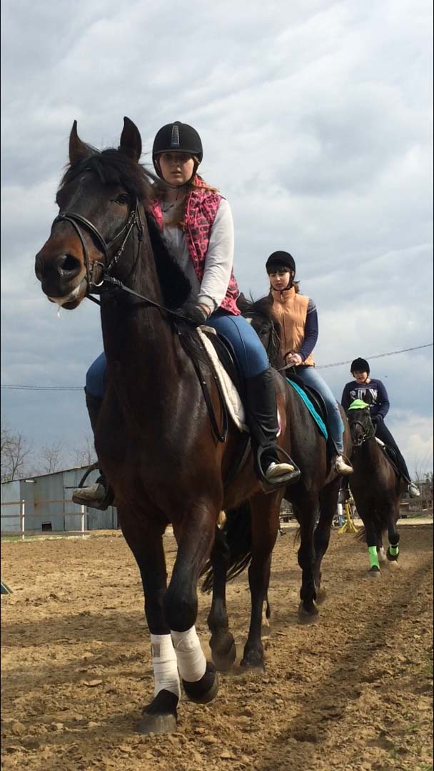 . Гостевой дом "Александровский". Темрюк