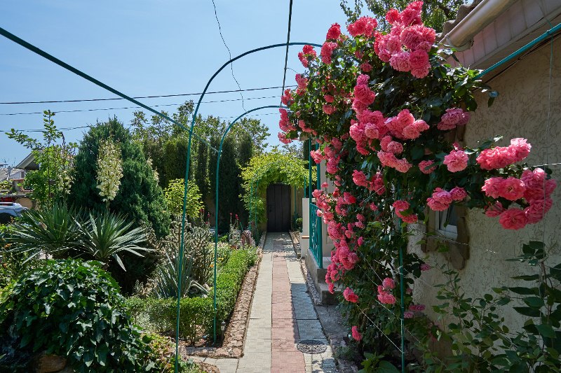 . Гостевой дом "Малиновая 10". Севастополь