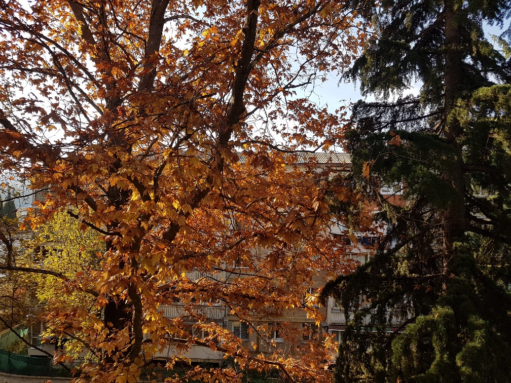 . Квартира в многоквартирном доме Посуточно 3-комн квартира в Крыму г. Алуште. Алушта