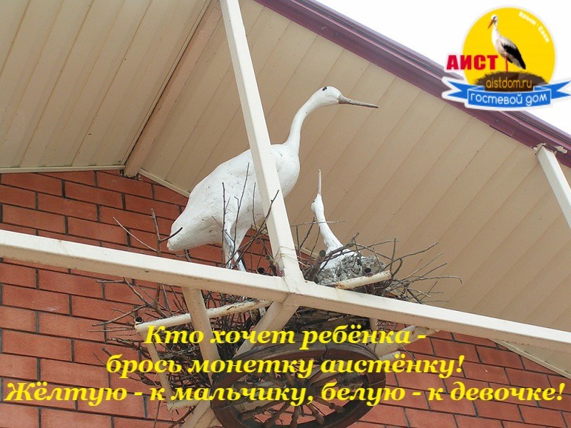 . Гостевой дом Аист. Саки