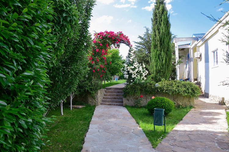 Отель «Дионис»