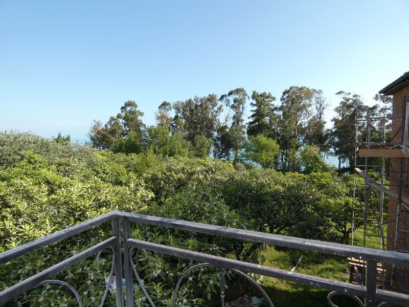 . Гостевой дом "Феникс". Новый Афон