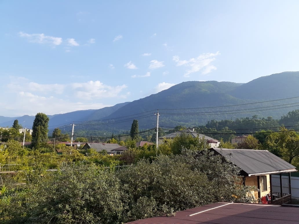 . "Delis" (Делис). Гагра