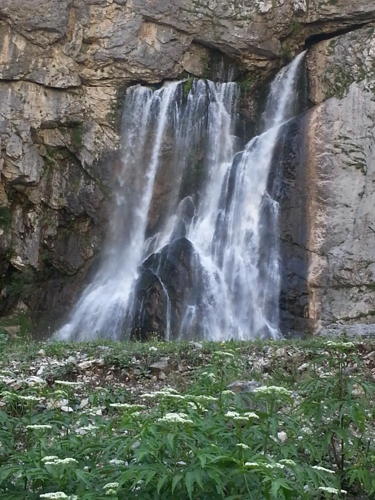 . Гостевой дом Siberia. Гагра