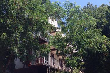 . Гостевой дом Ника - Туапсе. Туапсе