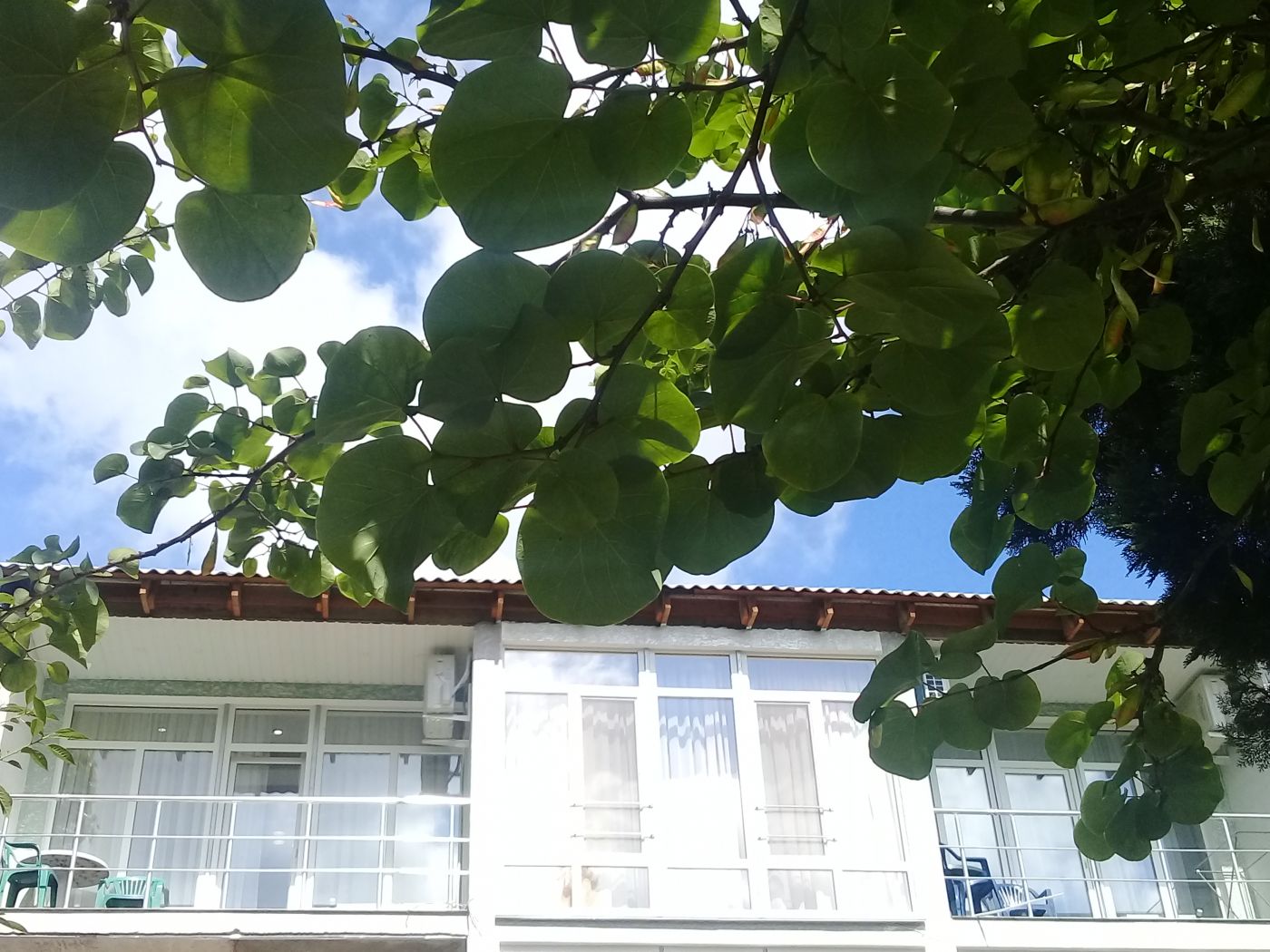 . Частный сектор "В парке". Крым - частный сектор