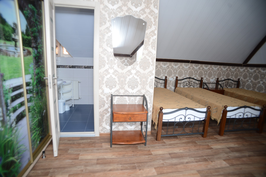 Полулюкс. Гостевой дом "Роман". Чайка