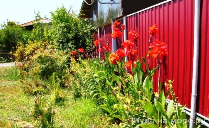 . Гостевой дом «У Руслана и Джульетты». Пицунда