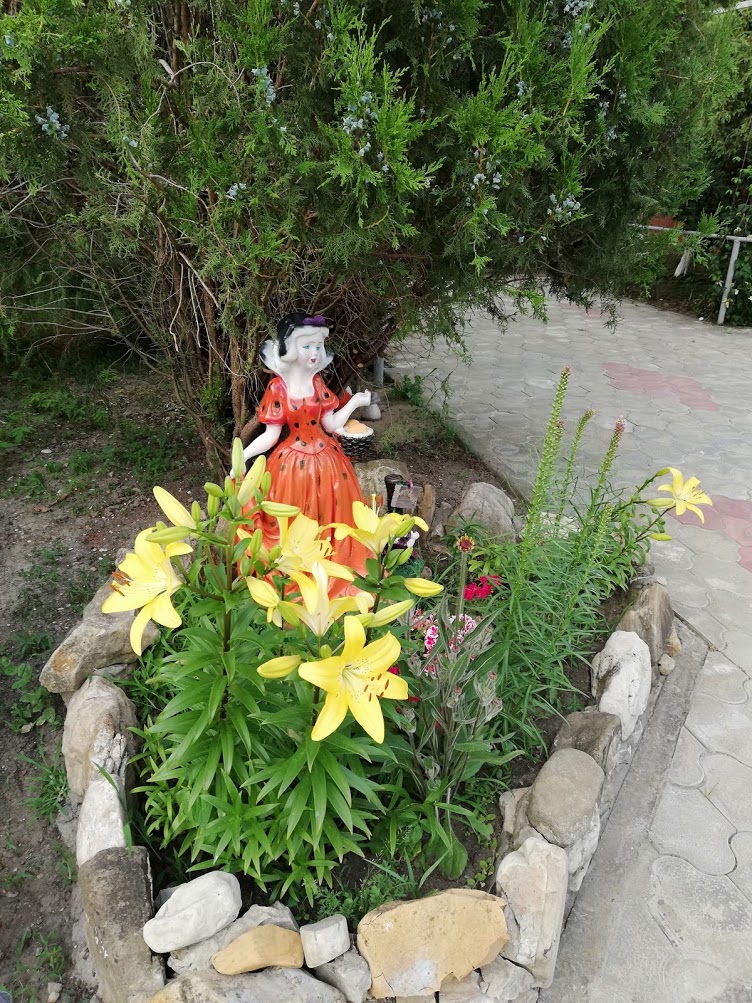 . Гостевой дом "Сибирячка". Ольгинка