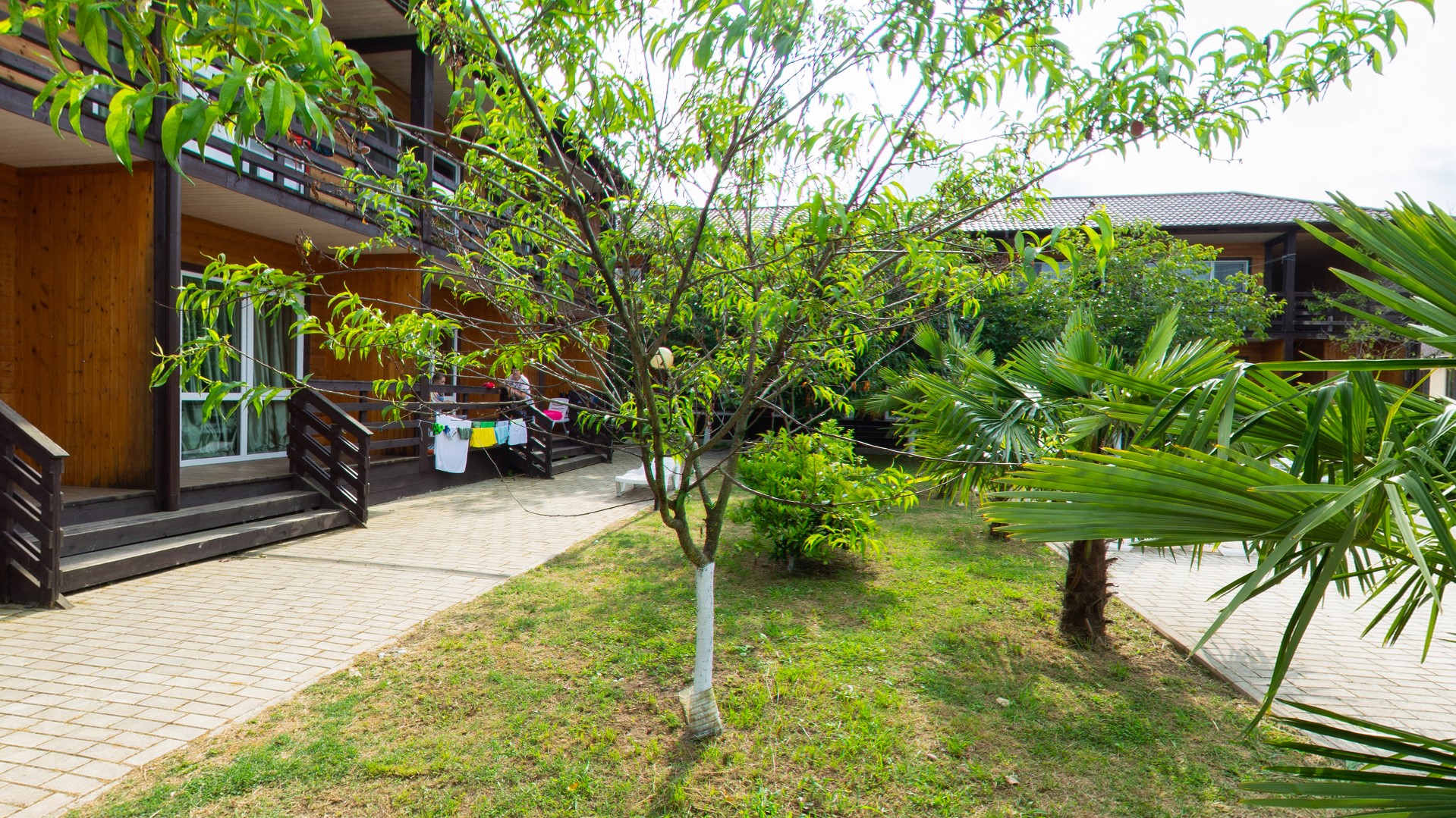 . Отель "Эко-Папа". Гудаута