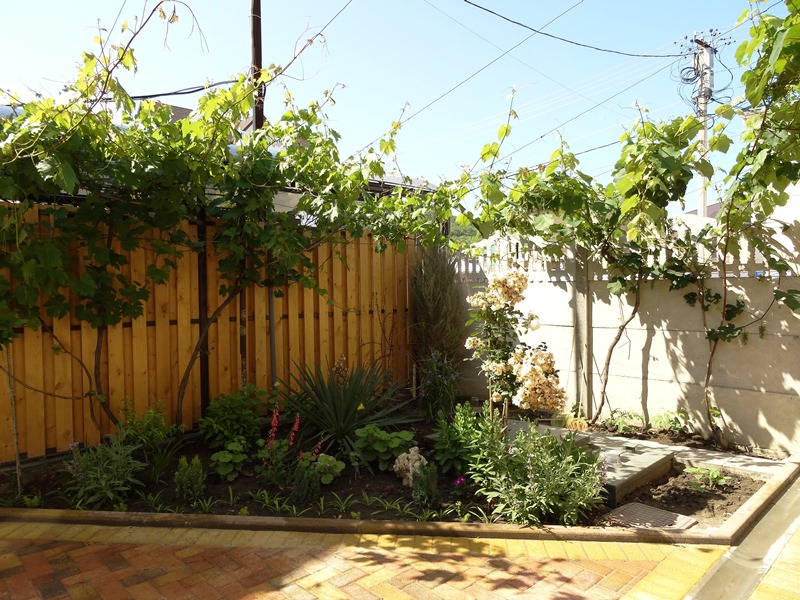 . Гостевой дом "Солнечный" - Сукко. Сукко