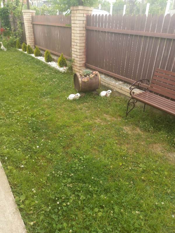 . Гостевой дом "Вавилон". Гудаута