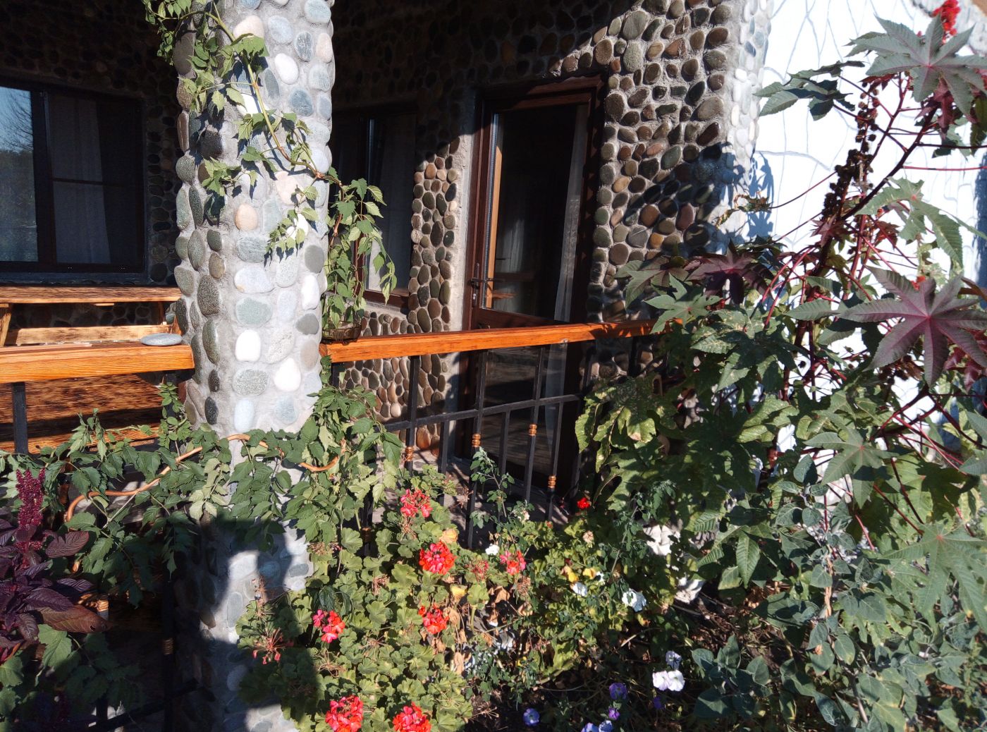 . Гостевой дом Лотос . Пицунда