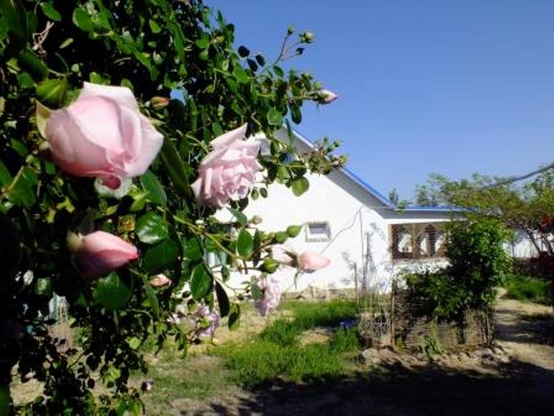 . Дом под ключ На Комсомольской 25. Кучугуры