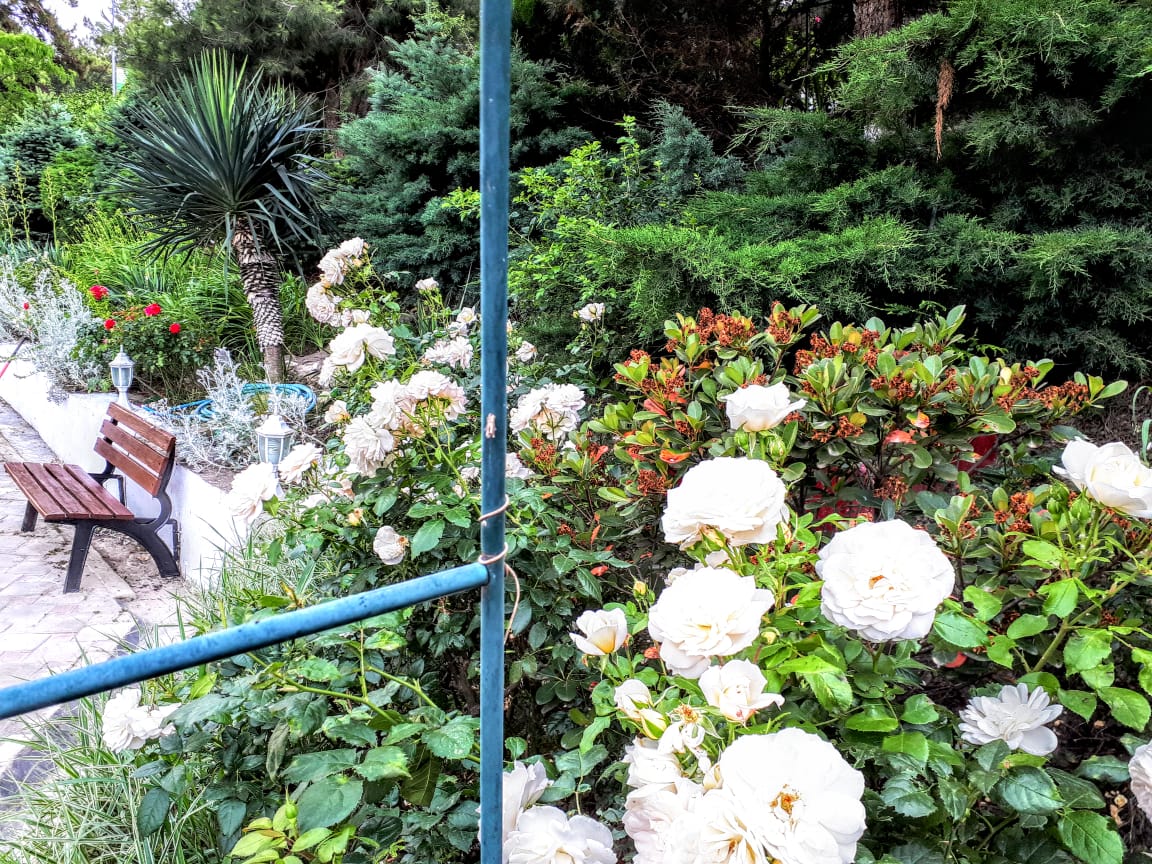 . Гостиница "Парадиз". Ольгинка