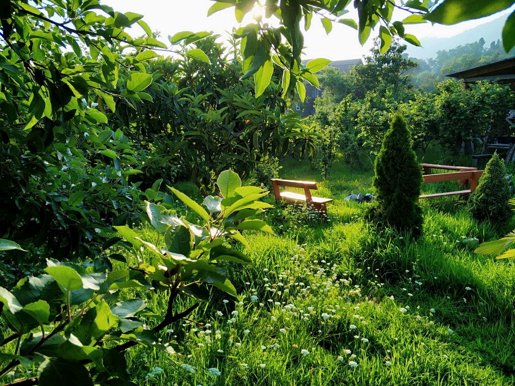 . Гостевые домики "Парадиз" в Новом Афоне рядом с морем. Новый Афон