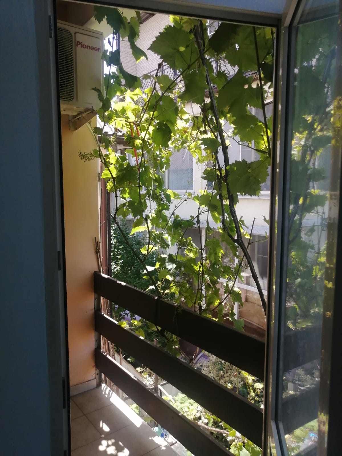 . Гостевой дом Лилия на Ул.Свердлова 32. Адлер