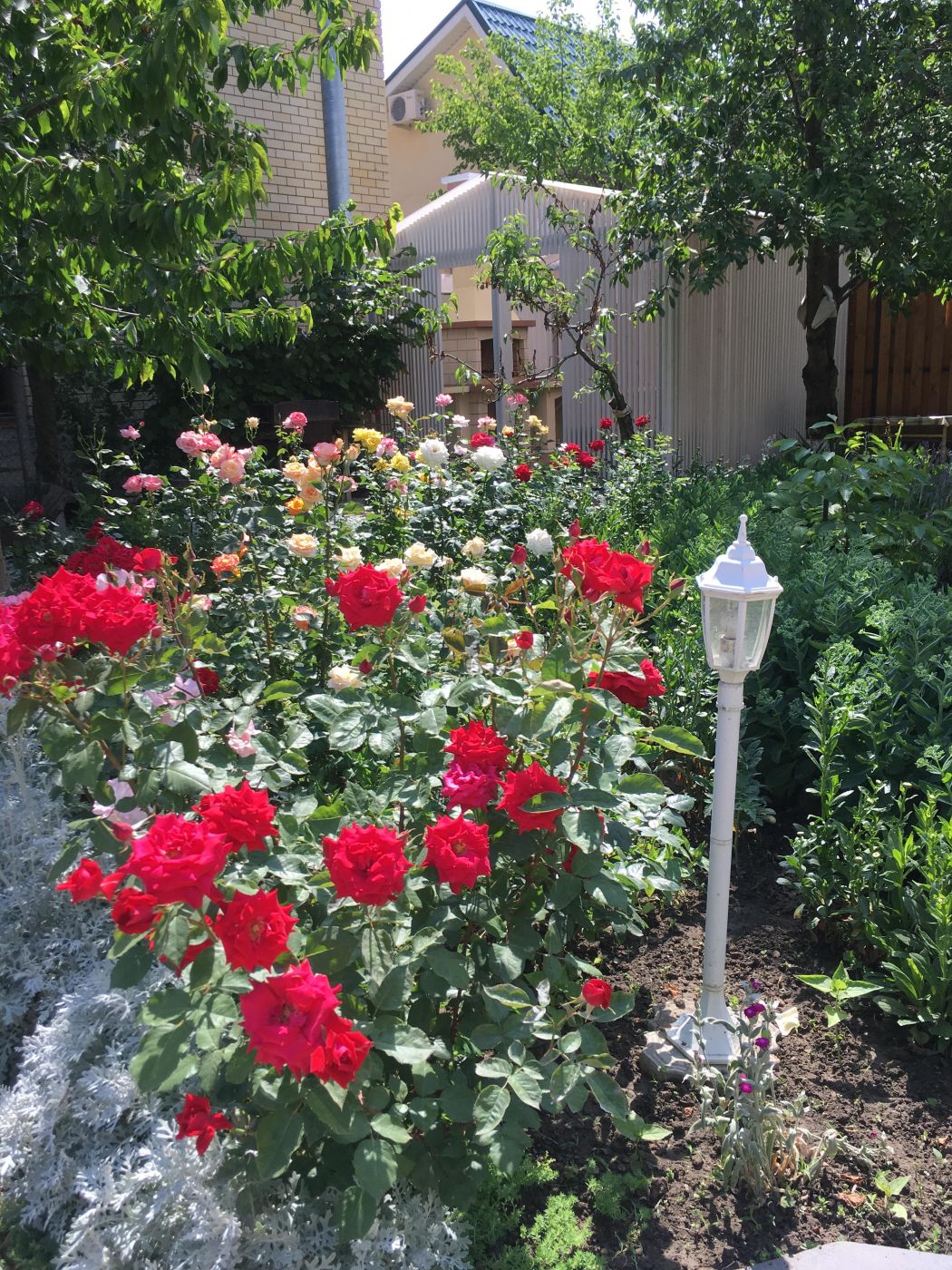 . Гостевой дом "Солнечный" - Сукко. Сукко