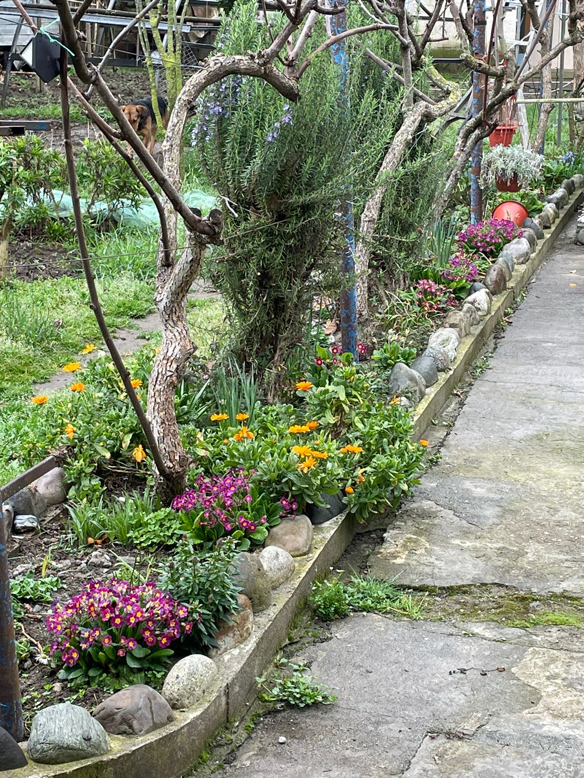 . Гостевой дом ЭЙВА. Пицунда