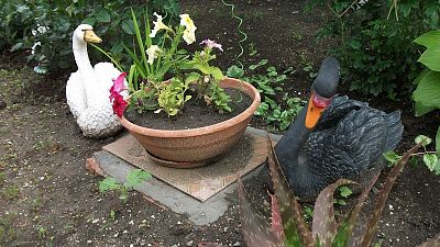 . Частный сектор Тихий семейный отдых. Ейск